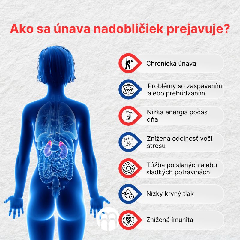 (Slovenčina) (29)_1